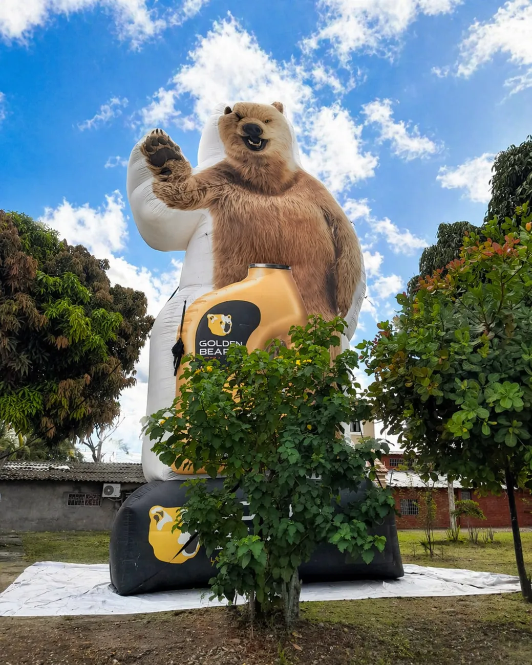 Colchon Oso Golden Bear